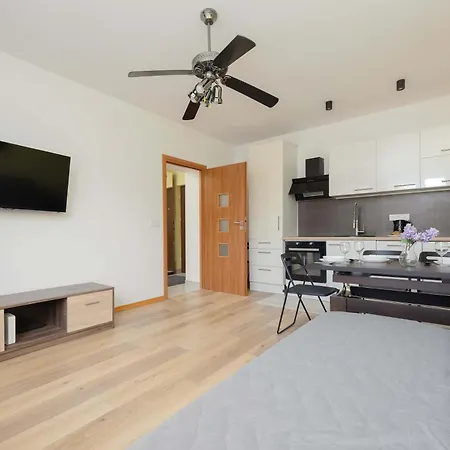 Cozy Pet Friendly With Place For Remote Work By Renters Lejlighed Warszawa